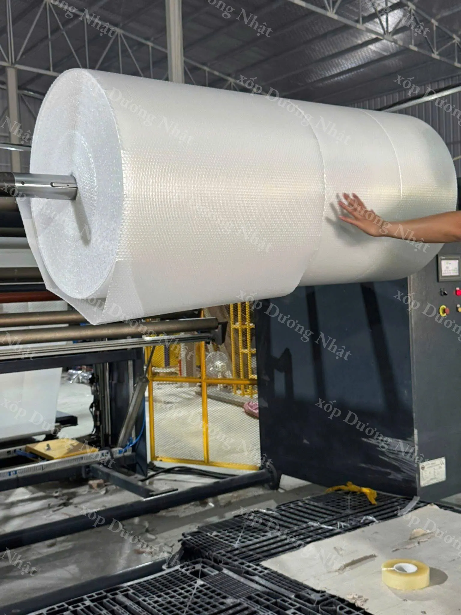 Túi bóng khí chống sốc Dương Nhật